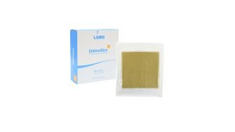 Antimicrobial dressing with silver